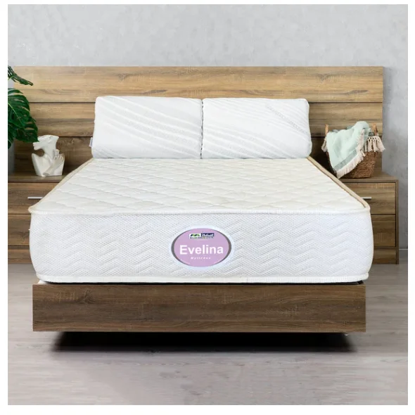 المأمون ايفيلينا فوم 20 سم