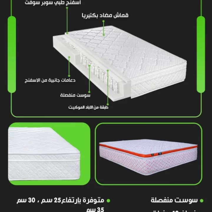 مراتب فانتازيا تالين 25 سم