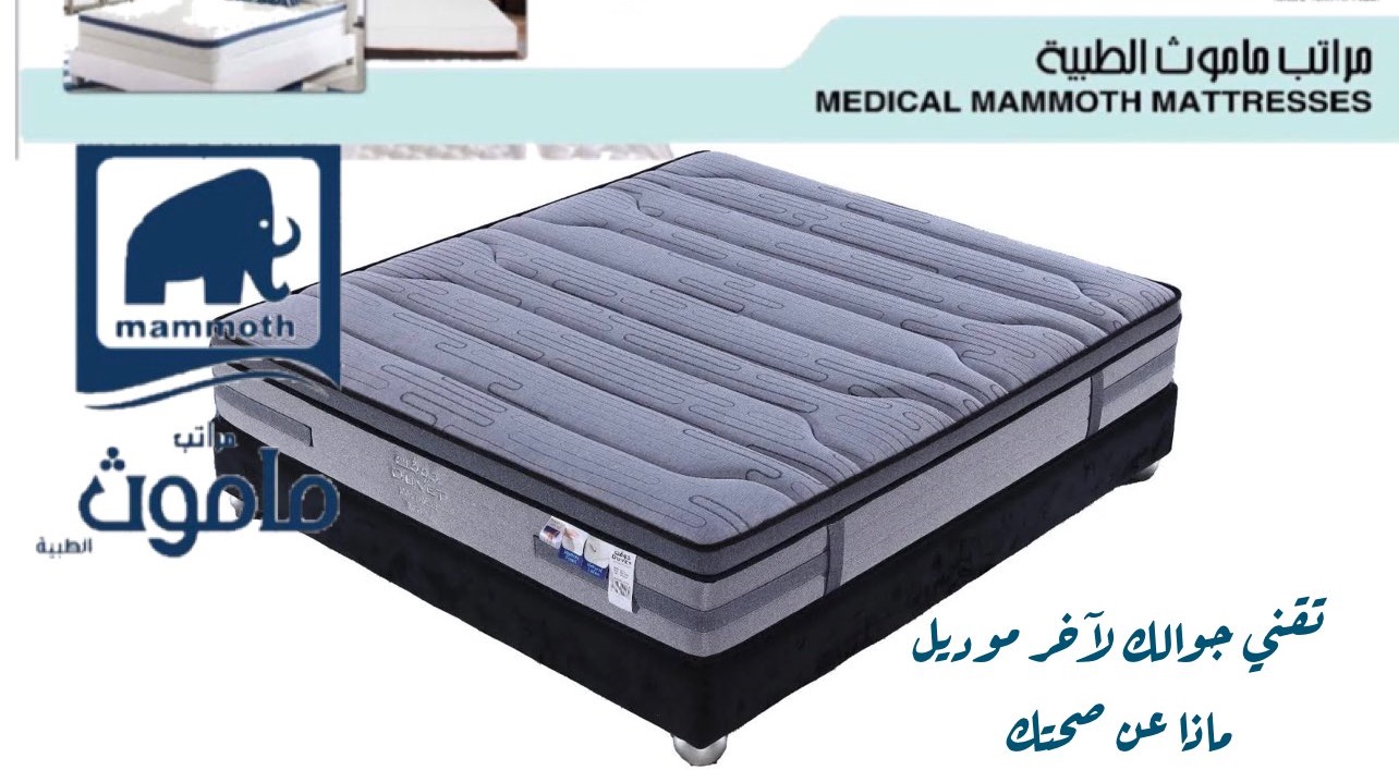 مرتبة ماموث