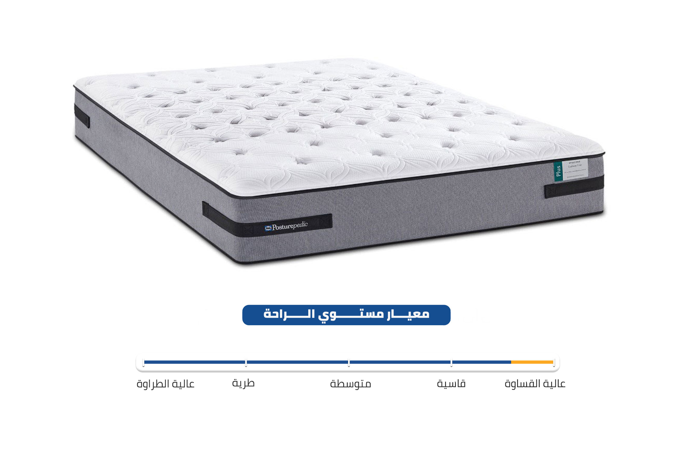 مرتبة سيلي سبريز