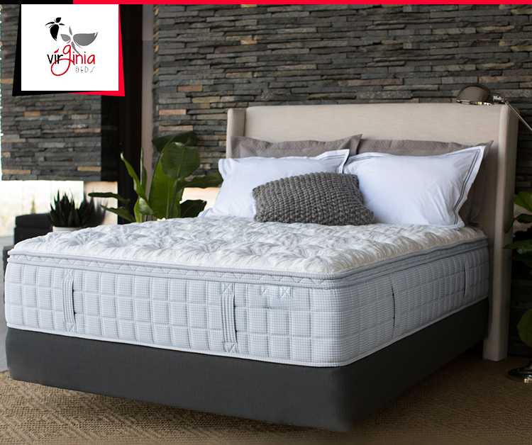 مرتبة فيرجينيا كارمن بيلوتوب