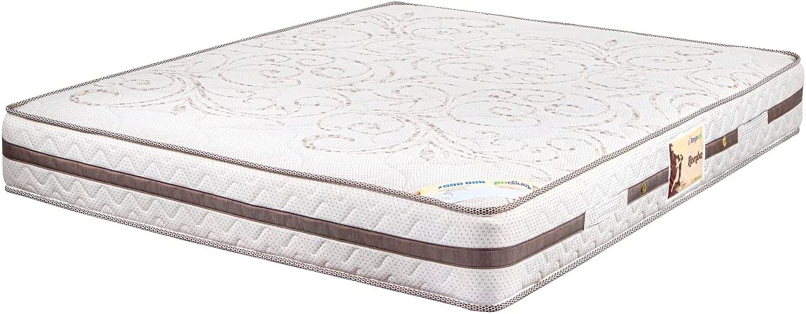 مراتب تانجو رومبا 25 سم